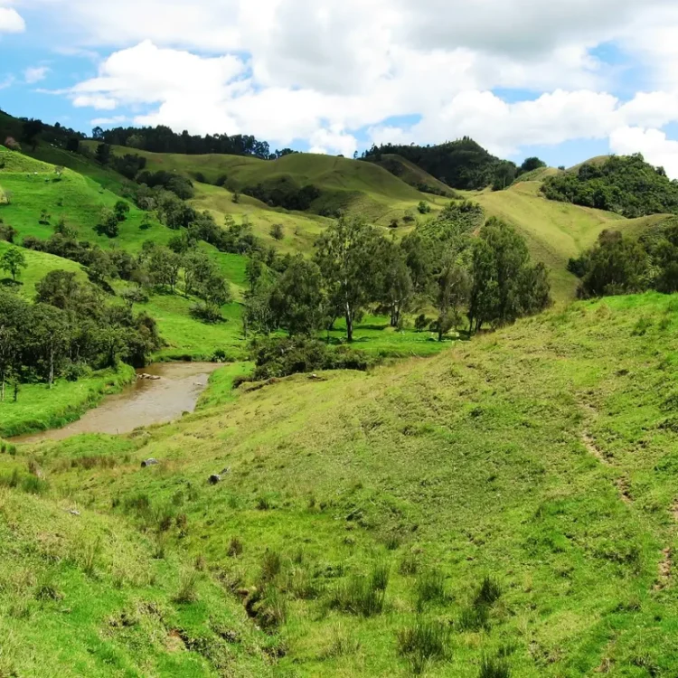Ruta De La Leche, ¡Disfrútalo este domingo 5 de abril de 2026!