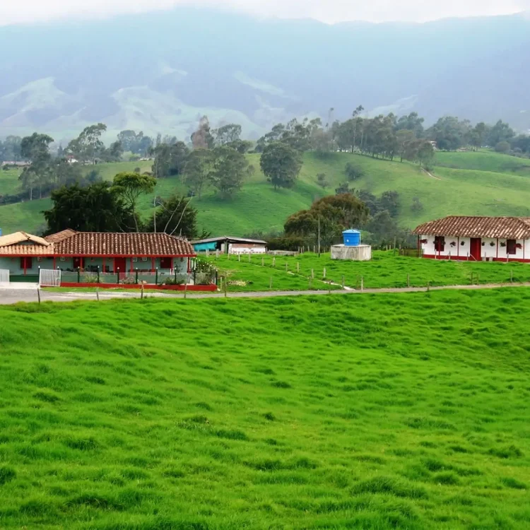 Ruta De La Leche Santa Rosa De Osos, ¡Viaja este domingo 30 de agosto de 2026!