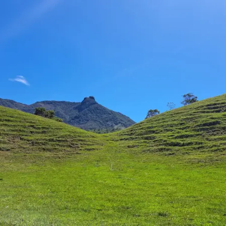 San Carlos Conexion Natural, ¡Comparte en familia el jueves 16 de abril de 2026!