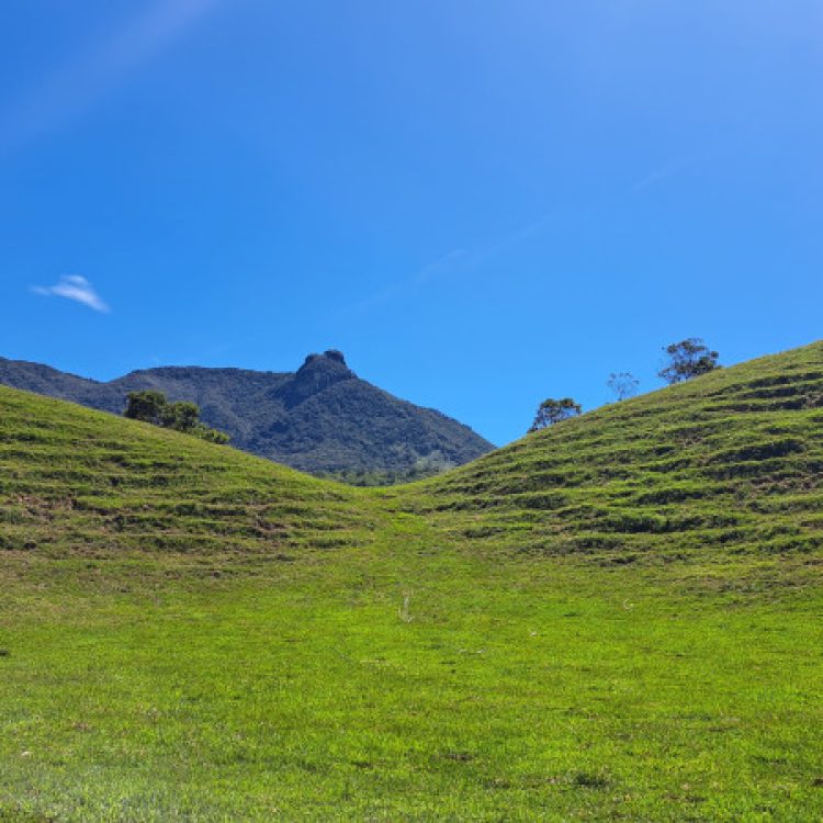 San Carlos Conexion Natural, ¡Acompáñanos el sábado 2 de mayo de 2026!