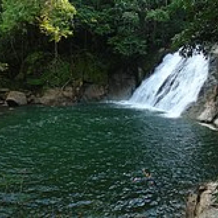 San Luis: La Perla Verde De Antioqua, ¡Vamos a disfrutarlo el domingo 20 de julio de 2025!