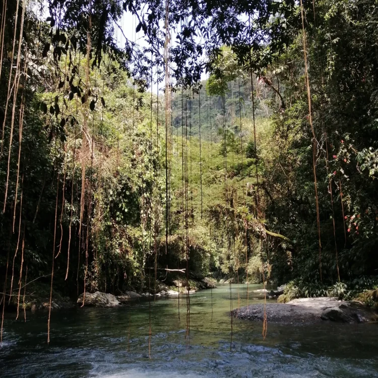 Senderismo Al Río Melcocho, ¡Viaja el domingo 10 de noviembre de 2024!