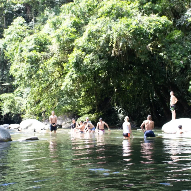 Senderismo Al Río Melcocho, ¡Listos para viajar el domingo 11 de enero de 2026!