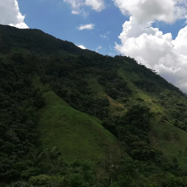 Senderismo Al Río Melcocho, ¡Únete este domingo 2 de noviembre de 2025!