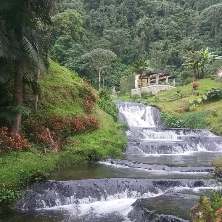Termales Santa Rosa Con Visita A Buga, ¡Comparte en familia el sábado 16 de mayo de 2026!