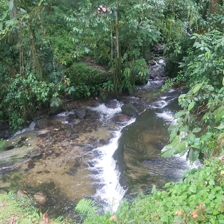 Termales Santa Rosa Con Visita A Buga, ¡Viaja este sábado 21 de febrero de 2026!