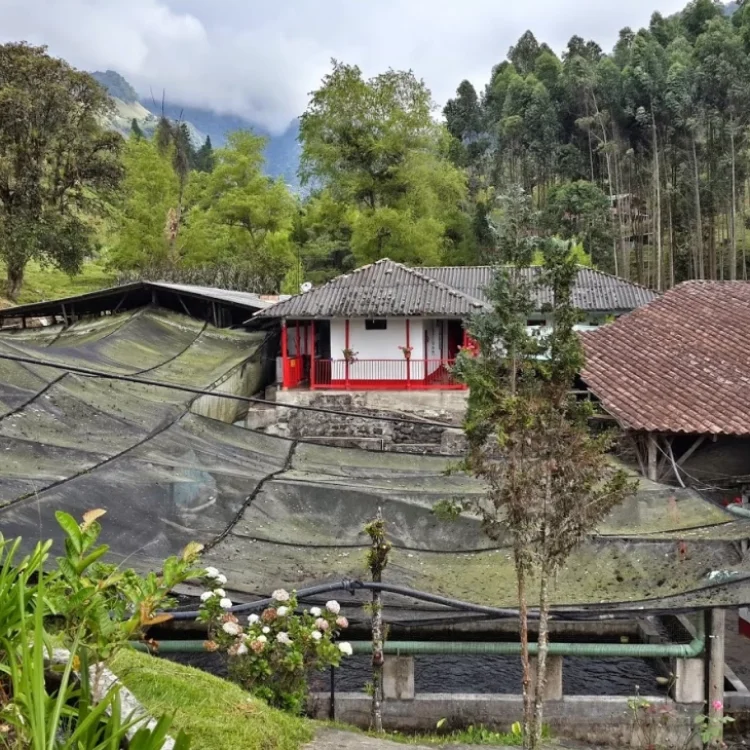 Tour A El Jardín, Antioquia, ¡Vamos a disfrutarlo el domingo 10 de marzo de 2024!