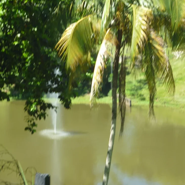 Tour A La Hacienda Nápoles Con Ingreso A La Sabana Africana, Museo Y Zonas Húmedas, ¡Comparte en familia el domingo 4 de diciembre de 2022!