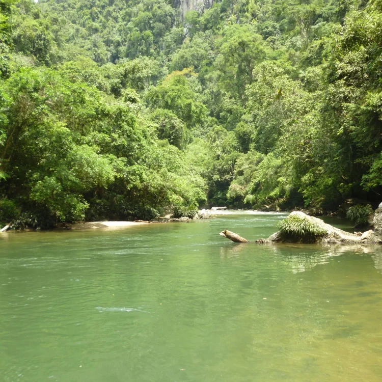 Tour A La Reserva Natural Cañón Del Río Claro: Rafting Y Espeleología, ¡Viaje programado para el domingo 17 de mayo de 2026!