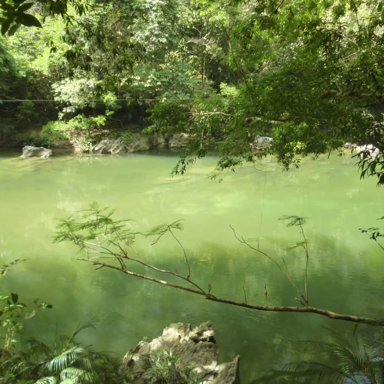 Tour A La Reserva Natural Cañón Del Río Claro: Rafting Y Espeleología, ¡Comparte en familia el sábado 23 de marzo de 2024!