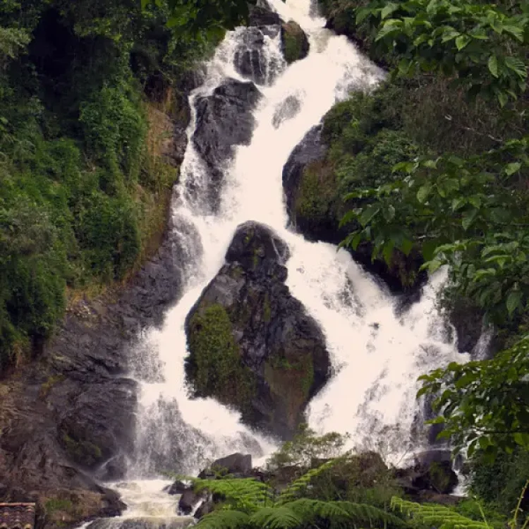 Tour Vuelta A Oriente, ¡Listos para viajar el domingo 22 de marzo de 2026!