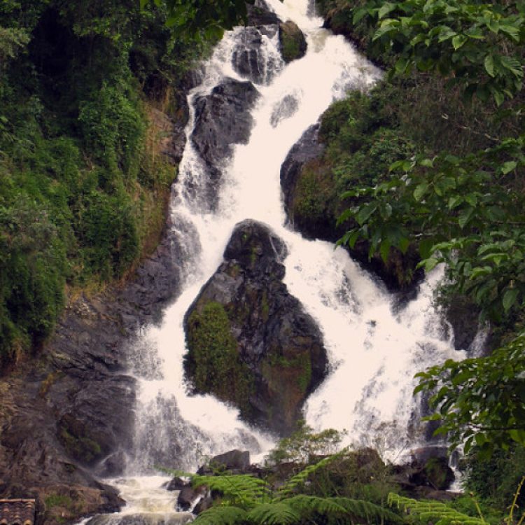 Tour Vuelta A Oriente, ¡Viaja el domingo 9 de noviembre de 2025!