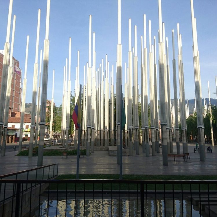 parque-de-la-luz-1